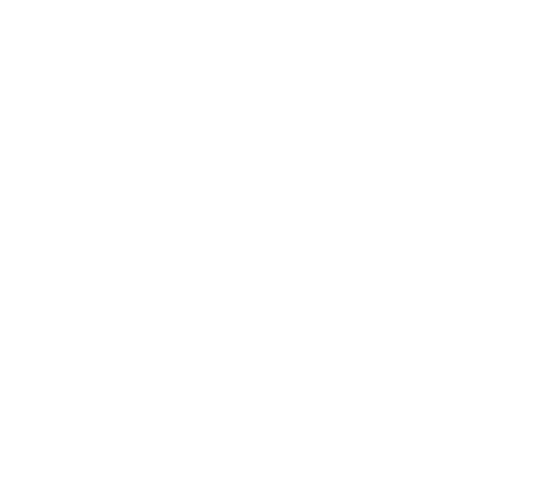 logo-al-kursy-w